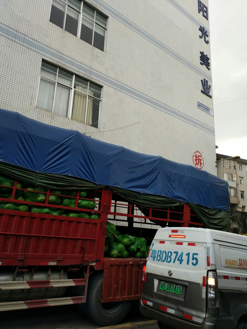 用户头像_省省回头车