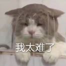 用户头像_省省回头车